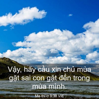 Picture 03 - Ma-thi-ơ 9:38 VIE - Vậy, hãy cầu xin chủ mùa gặt sai con - Bible Verse Picture