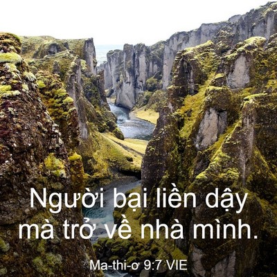 Picture 03 - Ma-thi-ơ 9:7 VIE - Người bại liền dậy mà trở về nhà - Bible Verse Picture