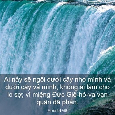 Picture 03 - Mi-ca 4:4 VIE - Ai nấy sẽ ngồi dưới cây nho mình và - Bible Verse Picture