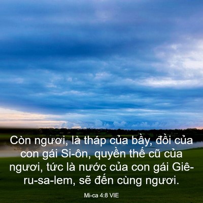 Picture 03 - Mi-ca 4:8 VIE - Còn ngươi, là tháp của bầy, đồi của - Bible Verse Picture