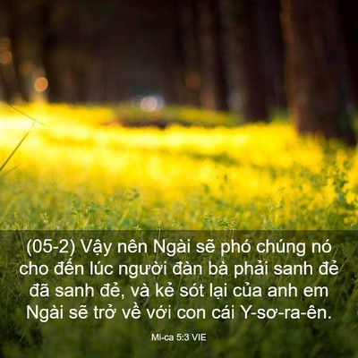 Picture 03 - Mi-ca 5:3 VIE - (05-2) Vậy nên Ngài sẽ phó chúng nó cho - Bible Verse Picture