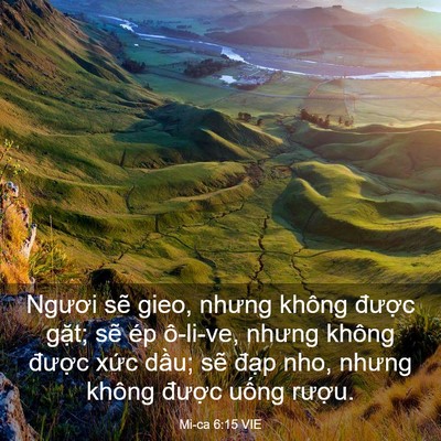 Picture 03 - Mi-ca 6:15 VIE - Ngươi sẽ gieo, nhưng không được gặt; - Bible Verse Picture