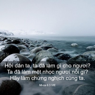 Picture 03 - Mi-ca 6:3 VIE - Hỡi dân ta, ta đã làm gì cho ngươi? Ta - Bible Verse Picture