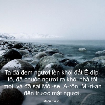 Picture 03 - Mi-ca 6:4 VIE - Ta đã đem ngươi lên khỏi đất - Bible Verse Picture