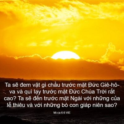 Picture 03 - Mi-ca 6:6 VIE - Ta sẽ đem vật gì chầu trước mặt - Bible Verse Picture