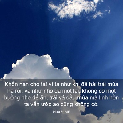 Picture 03 - Mi-ca 7:1 VIE - Khốn nạn cho ta! vì ta như khi đã hái - Bible Verse Picture