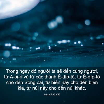 Picture 03 - Mi-ca 7:12 VIE - Trong ngày đó người ta sẽ đến cùng - Bible Verse Picture