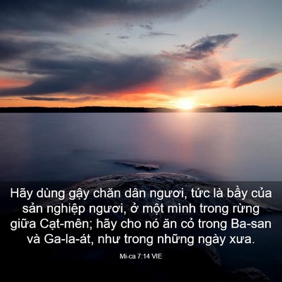 Picture 03 - Mi-ca 7:14 VIE - Hãy dùng gậy chăn dân ngươi, tức là - Bible Verse Picture
