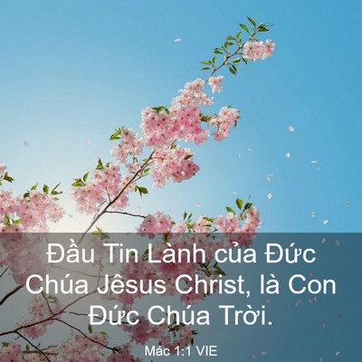 Picture 03 - Mác 1:1 VIE - Đầu Tin Lành của Đức Chúa Jêsus - Bible Verse Picture