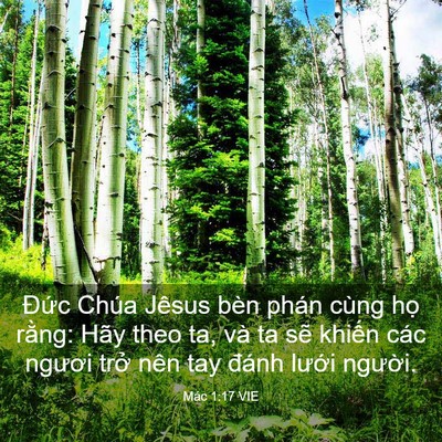 Picture 03 - Mác 1:17 VIE - Đức Chúa Jêsus bèn phán cùng họ rằng: - Bible Verse Picture