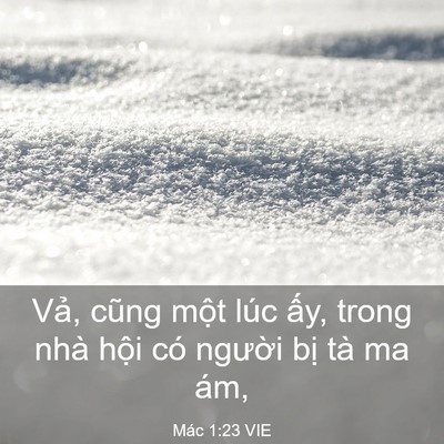 Picture 03 - Mác 1:23 VIE - Vả, cũng một lúc ấy, trong nhà hội có - Bible Verse Picture