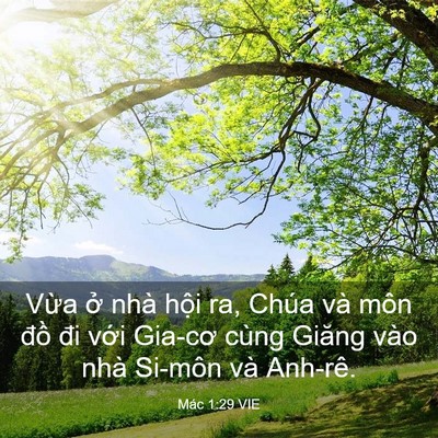 Picture 03 - Mác 1:29 VIE - Vừa ở nhà hội ra, Chúa và môn đồ đi - Bible Verse Picture