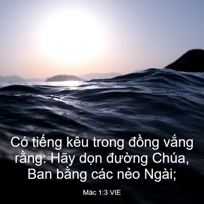 Picture 03 - Mác 1:3 VIE - Có tiếng kêu trong đồng vắng rằng: - Bible Verse Picture