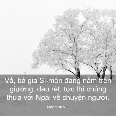 Picture 03 - Mác 1:30 VIE - Vả, bà gia Si-môn đang nằm trên - Bible Verse Picture