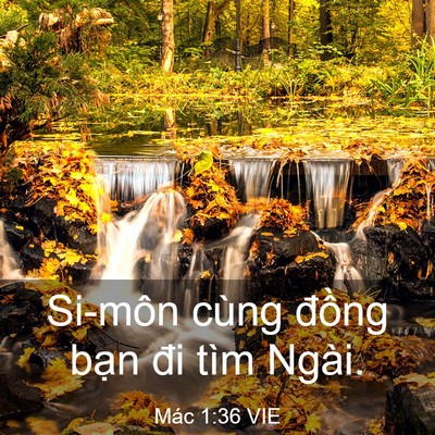 Picture 03 - Mác 1:36 VIE - Si-môn cùng đồng bạn đi tìm - Bible Verse Picture