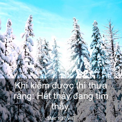 Picture 03 - Mác 1:37 VIE - Khi kiếm được thì thưa rằng: Hết - Bible Verse Picture
