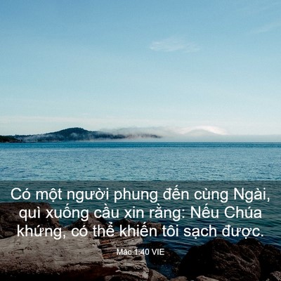 Picture 03 - Mác 1:40 VIE - Có một người phung đến cùng Ngài, quì - Bible Verse Picture