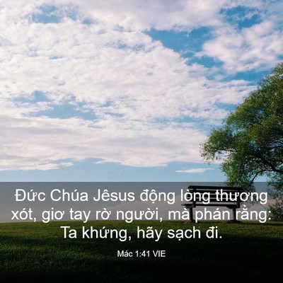 Picture 03 - Mác 1:41 VIE - Đức Chúa Jêsus động lòng thương xót, - Bible Verse Picture
