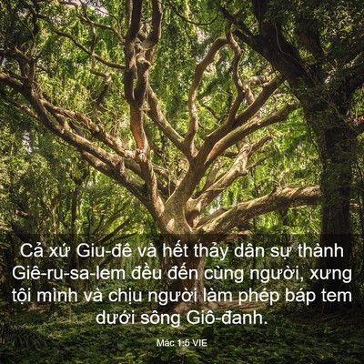 Picture 03 - Mác 1:5 VIE - Cả xứ Giu-đê và hết thảy dân sự - Bible Verse Picture