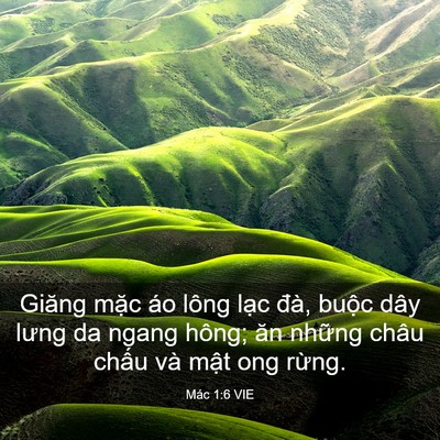 Picture 03 - Mác 1:6 VIE - Giăng mặc áo lông lạc đà, buộc dây - Bible Verse Picture