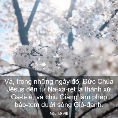 Picture 03 - Mác 1:9 VIE - Vả, trong những ngày đó, Đức Chúa - Bible Verse Picture