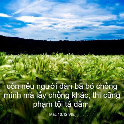 Picture 03 - Mác 10:12 VIE - còn nếu người đàn bà bỏ chồng mình - Bible Verse Picture
