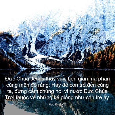 Picture 03 - Mác 10:14 VIE - Đức Chúa Jêsus thấy vậy, bèn giận mà - Bible Verse Picture