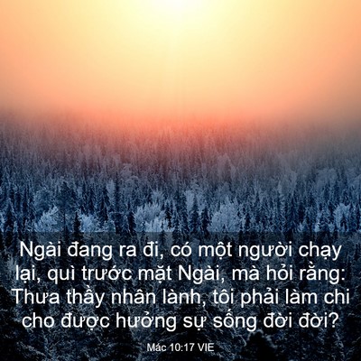 Picture 03 - Mác 10:17 VIE - Ngài đang ra đi, có một người chạy - Bible Verse Picture