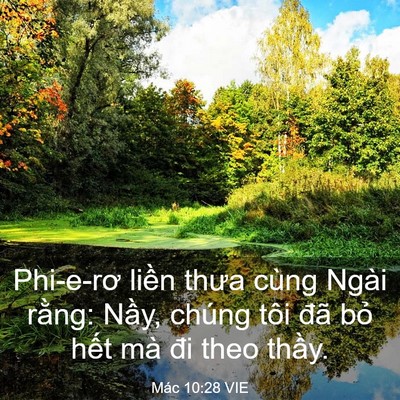 Picture 03 - Mác 10:28 VIE - Phi-e-rơ liền thưa cùng Ngài rằng: Nầy, - Bible Verse Picture