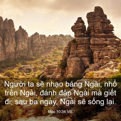 Picture 03 - Mác 10:34 VIE - Người ta sẽ nhạo báng Ngài, nhổ trên - Bible Verse Picture