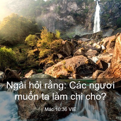 Picture 03 - Mác 10:36 VIE - Ngài hỏi rằng: Các ngươi muốn ta làm - Bible Verse Picture