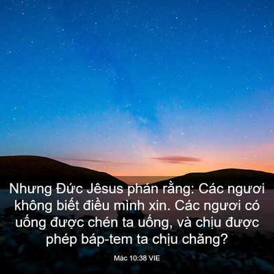Picture 03 - Mác 10:38 VIE - Nhưng Đức Jêsus phán rằng: Các ngươi - Bible Verse Picture