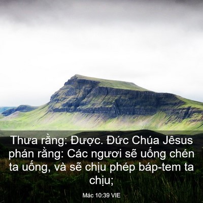 Picture 03 - Mác 10:39 VIE - Thưa rằng: Được. Đức Chúa Jêsus phán - Bible Verse Picture