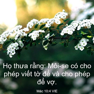 Picture 03 - Mác 10:4 VIE - Họ thưa rằng: Môi-se có cho phép viết - Bible Verse Picture