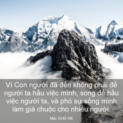 Picture 03 - Mác 10:45 VIE - Vì Con người đã đến không phải để - Bible Verse Picture