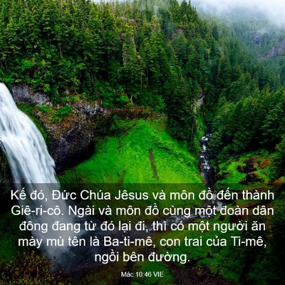 Picture 03 - Mác 10:46 VIE - Kế đó, Đức Chúa Jêsus và môn đồ - Bible Verse Picture