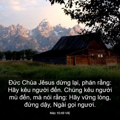 Picture 03 - Mác 10:49 VIE - Đức Chúa Jêsus dừng lại, phán rằng: - Bible Verse Picture