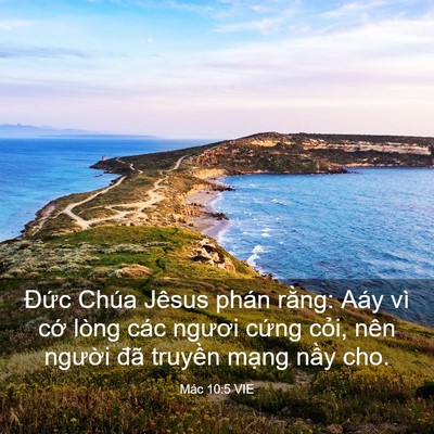 Picture 03 - Mác 10:5 VIE - Đức Chúa Jêsus phán rằng: Aáy vì cớ - Bible Verse Picture