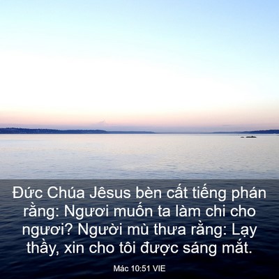 Picture 03 - Mác 10:51 VIE - Đức Chúa Jêsus bèn cất tiếng phán - Bible Verse Picture