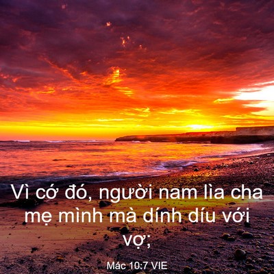Picture 03 - Mác 10:7 VIE - Vì cớ đó, người nam lìa cha mẹ mình - Bible Verse Picture