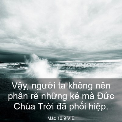 Picture 03 - Mác 10:9 VIE - Vậy, người ta không nên phân rẽ những - Bible Verse Picture