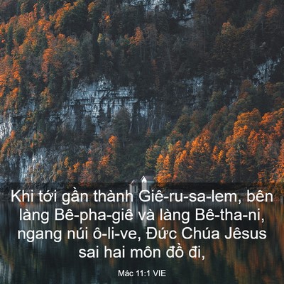Picture 03 - Mác 11:1 VIE - Khi tới gần thành Giê-ru-sa-lem, bên làng - Bible Verse Picture