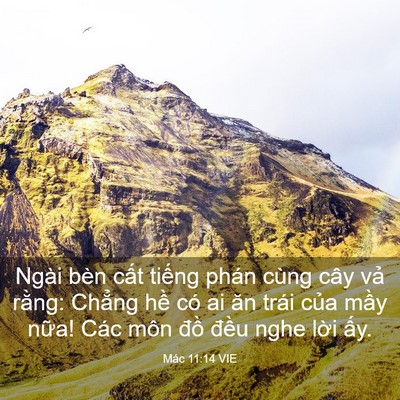 Picture 03 - Mác 11:14 VIE - Ngài bèn cất tiếng phán cùng cây vả - Bible Verse Picture