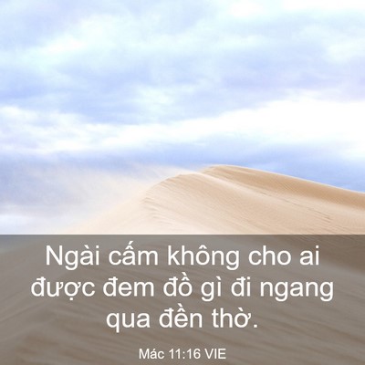 Picture 03 - Mác 11:16 VIE - Ngài cấm không cho ai được đem đồ gì - Bible Verse Picture
