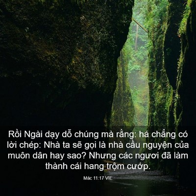 Picture 03 - Mác 11:17 VIE - Rồi Ngài dạy dỗ chúng mà rằng: há - Bible Verse Picture
