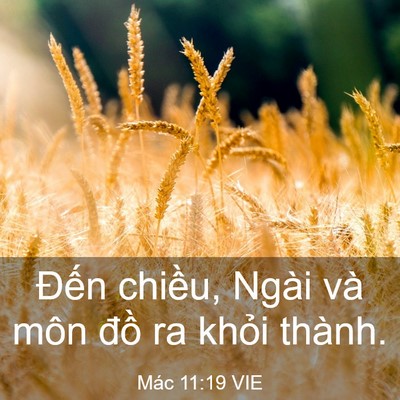 Picture 03 - Mác 11:19 VIE - Đến chiều, Ngài và môn đồ ra khỏi - Bible Verse Picture