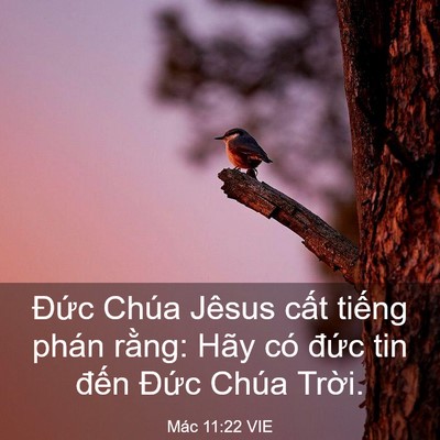 Picture 03 - Mác 11:22 VIE - Đức Chúa Jêsus cất tiếng phán rằng: - Bible Verse Picture