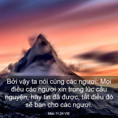 Picture 03 - Mác 11:24 VIE - Bởi vậy ta nói cùng các ngươi: Mọi - Bible Verse Picture