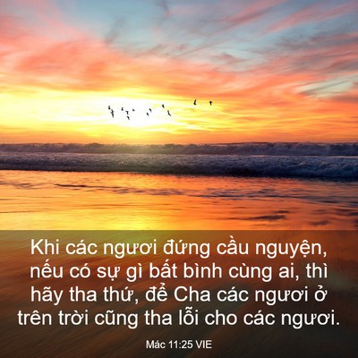 Picture 03 - Mác 11:25 VIE - Khi các ngươi đứng cầu nguyện, nếu - Bible Verse Picture