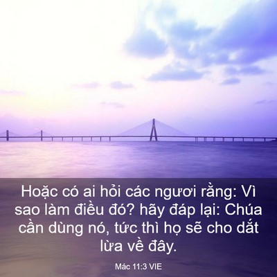 Picture 03 - Mác 11:3 VIE - Hoặc có ai hỏi các ngươi rằng: Vì sao - Bible Verse Picture
